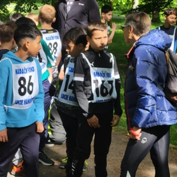 běhy (11)