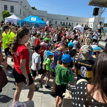 POHO 50 (1)