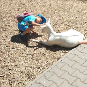 Zoo (1)