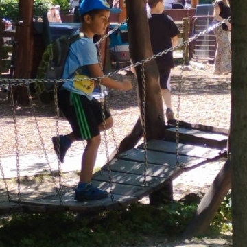 Zoo (2)