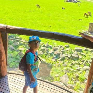 Zoo (4)