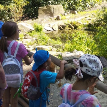 Zoo (5)