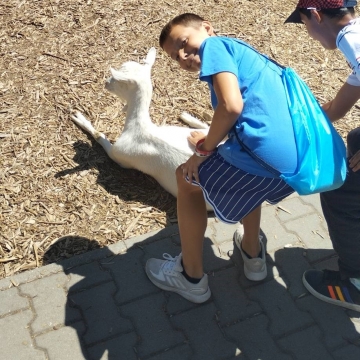Zoo (6)