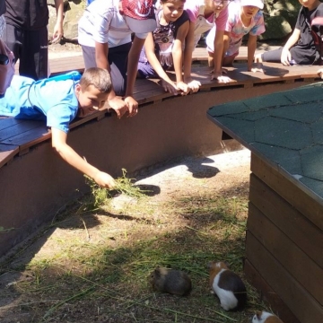 Zoo (7)