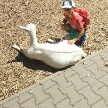 Zoo (8)
