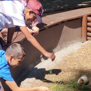 Zoo (12)