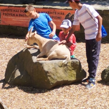 Zoo (13)