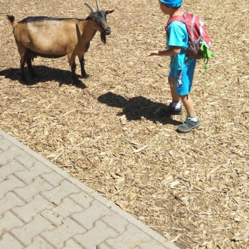 Zoo (14)