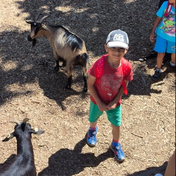 Zoo (16)