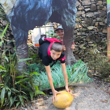 Zoo (19)
