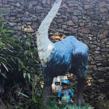 Zoo (20)