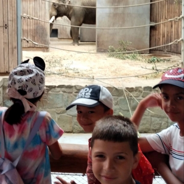 Zoo (24)