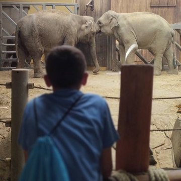 Zoo (26)