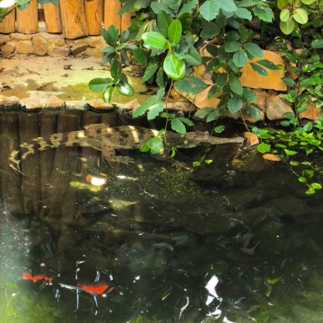 Zoo (33)