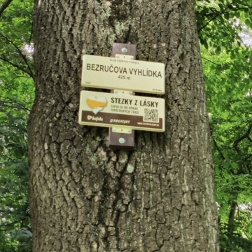 Hradec nad Moravicí (38)
